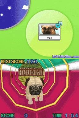 Petz - Dogz Pack — ss (WOR)
