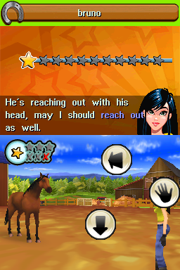 Petz - Horsez Family — ss (WOR)