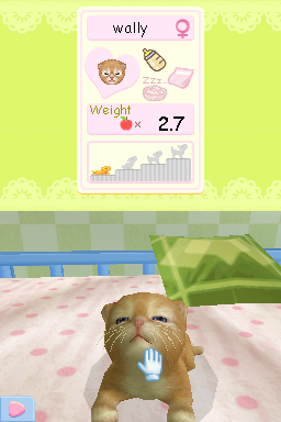 Petz - Playschool — ss (WOR)