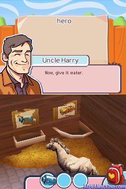 Pony Life — ss (WOR)