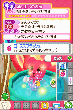 PostPet DS - Yumemiru Momo to Fushigi no Pen — ss (WOR)