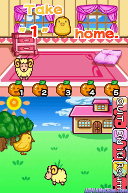 Smart Girl's Playhouse 2 — ss (WOR)