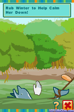 Winter's Tail - How One Little Dolphin Learned To Swim Again — ss (WOR)