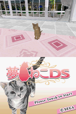 Yume Neko Ds — sstitle (WOR)