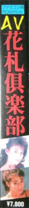 Av Hanafuda Club — box-2D-side (JP)