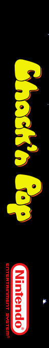 Chack'n Pop — box-2D-side (SS)