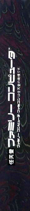 Dark Lord — box-2D-side (JP)