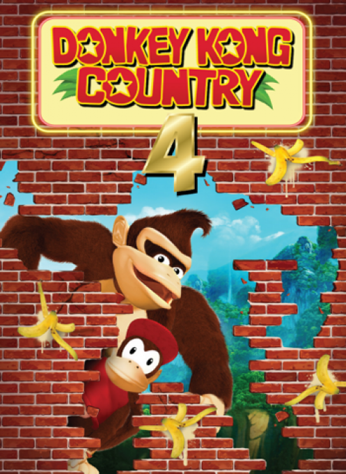 Donkey Kong Country 4 box art