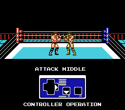 Fighting Simulator - World Champ — ss (US)