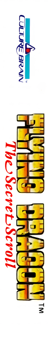 Flying Dragon - The Secret Scroll — box-2D-side (US)