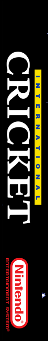 International Cricket — box-2D-side (SS)