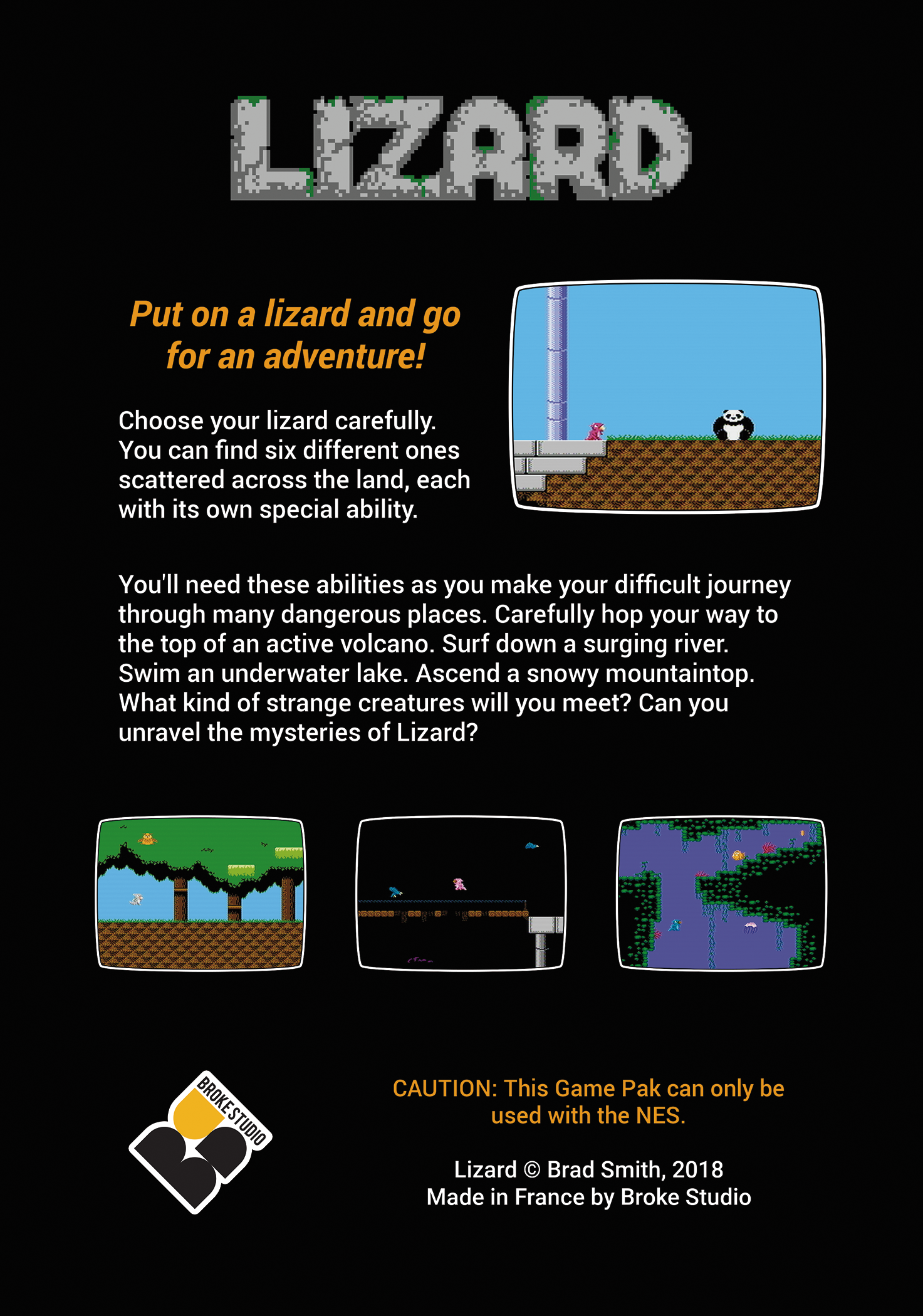 Lizard — box-2D-back (WOR)