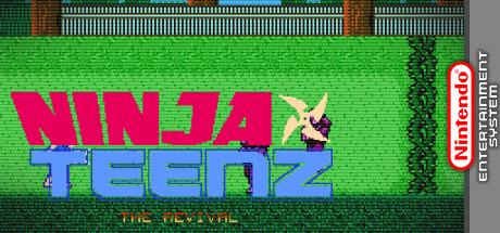 Ninja Teenz - The Revival — steamgrid