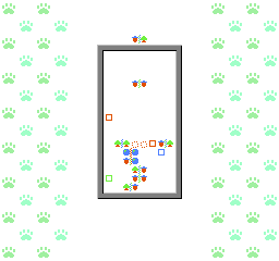 Squirrel Domino — ss (WOR)