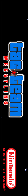 Tag Team Wrestling — box-2D-side (SS)