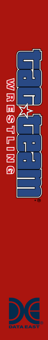 Tag Team Wrestling — box-2D-side (US)