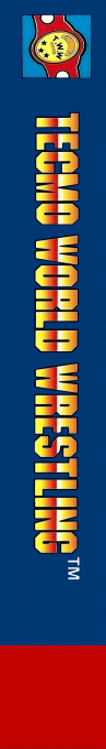 Tecmo World Wrestling — box-2D-side (EU)