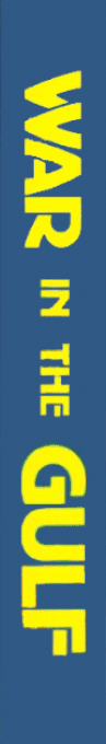 War In The Gulf — box-2D-side (BR)