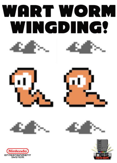 Wart Worm Wingding! box art