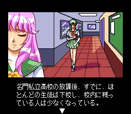 Shinsetsu Shiawase Usagi — ss (JP)
