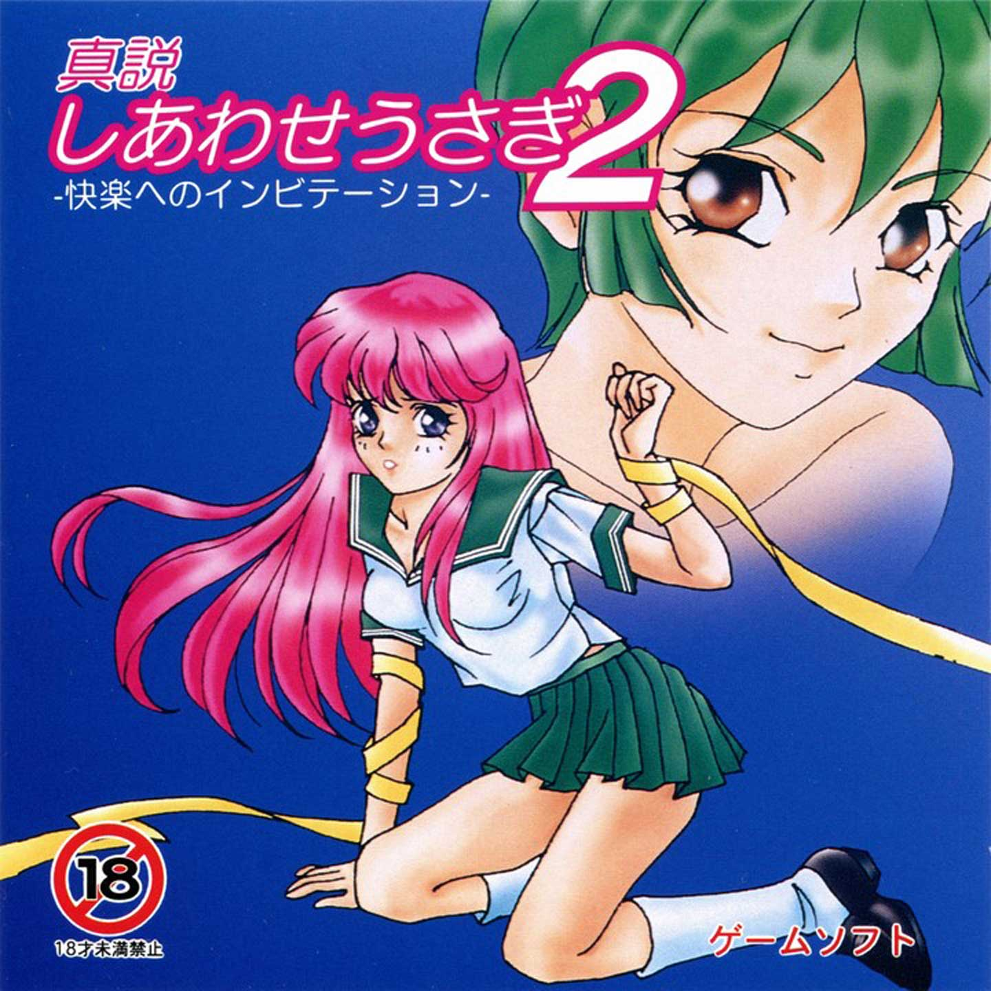 Shinsetsu Shiawase Usagi 2 - Kairaku E No Invitation box art