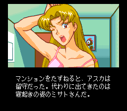 Shinsetsu Shiawase Usagi F - Yuujou Yori Mo Aiyoku — ss (WOR)