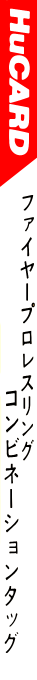 Fire Pro Wrestling - Combination Tag — box-2D-side (JP)