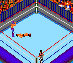 Fire Pro Wrestling - Combination Tag — ss (JP)