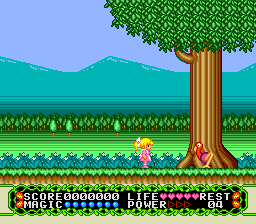 Fushigi No Yume No Alice — ss (JP)
