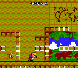 New Zealand Story, The — ss (JP)