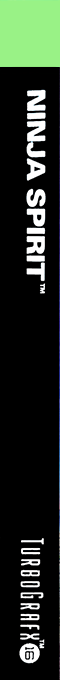 Ninja Spirit — box-2D-side (US)