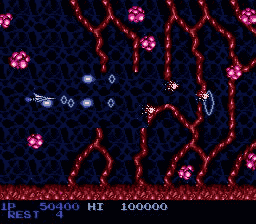 Salamander — ss (JP)