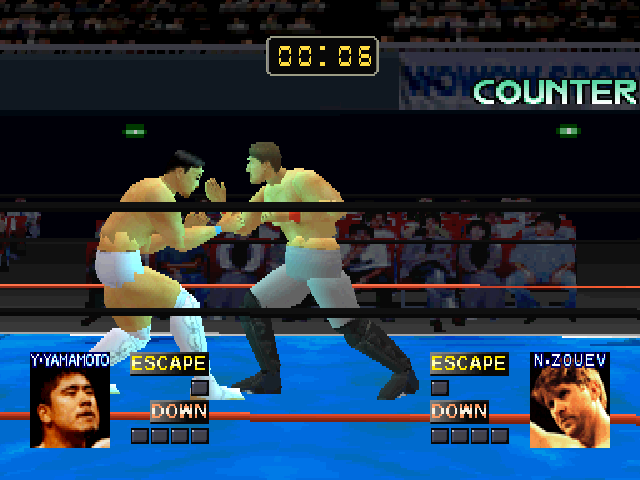 Fighting Network Rings — ss (JP)