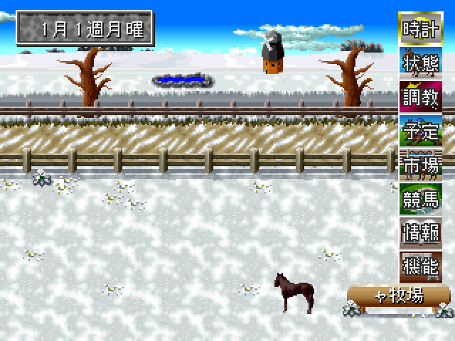 King Of Stallion — ss (JP)