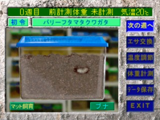 Minna No Shiiku Kyoushitsu - Kuwagata-hen — ss (JP)