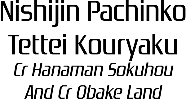 Nishijin Pachinko Tettei Kouryaku - Cr Hanaman Sokuhou And Cr Obake Land — wheel (SS)