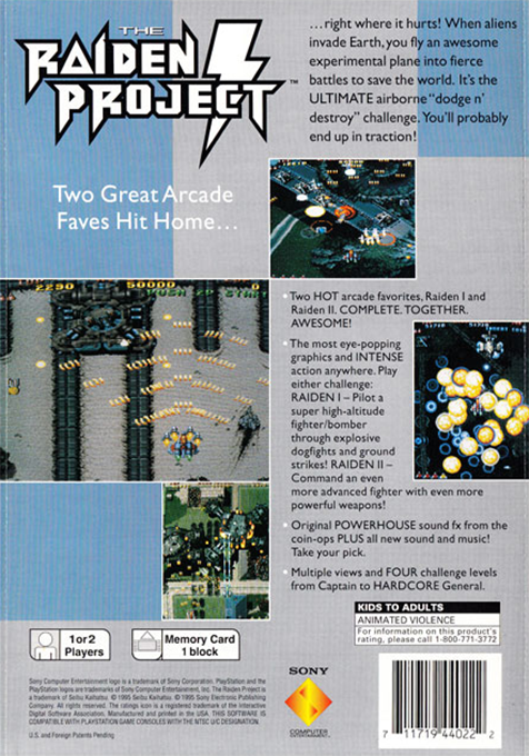 Raiden Project, The — box-2D-back (AME)