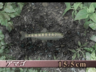 Soreike Flyfishing - Let's Go Flyfishing — ss (JP)