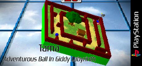 Tama - Adventurous Ball In Giddy Labyrinth — steamgrid