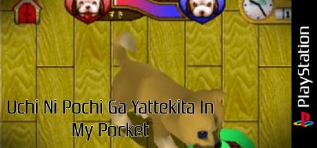 Uchi Ni Pochi Ga Yattekita In My Pocket — steamgrid