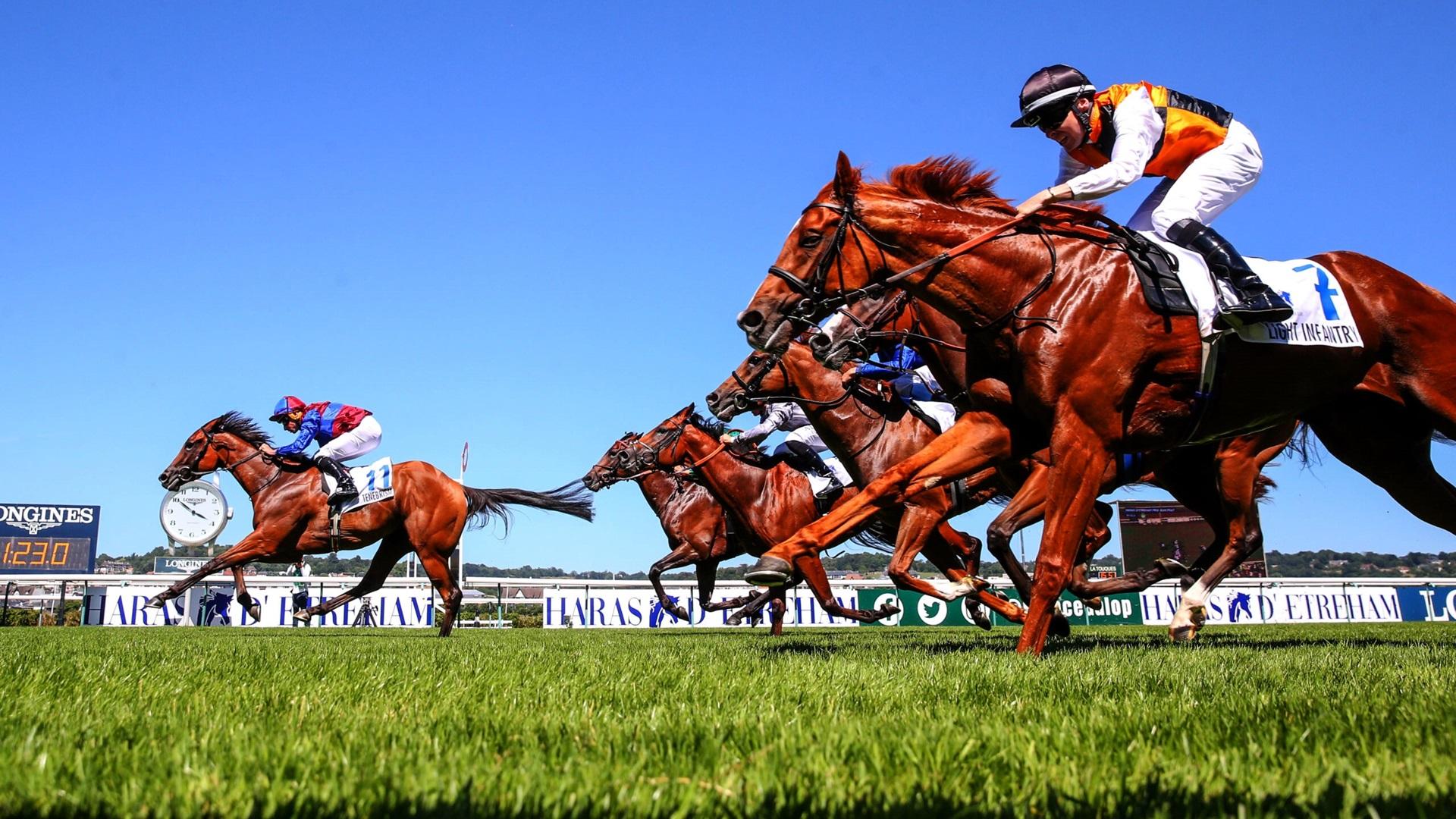 Breeders' Cup - World Thoroughbred Championships — fanart