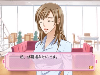 Junjou Romantica - Koi no Doki Doki Daisakusen — ss (JP)