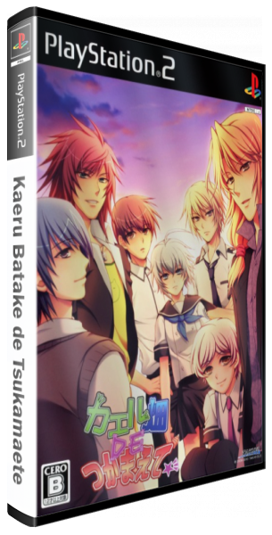Kaeru Batake de Tsukamaete — box-3D (JP)