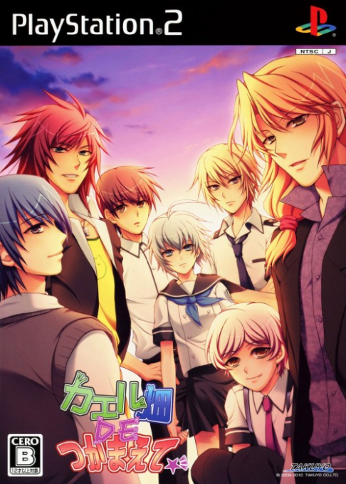 Kaeru Batake de Tsukamaete box art