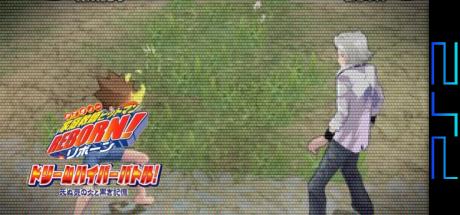 Katekyoo Hitman Reborn! Dream Hyper Battle! — steamgrid