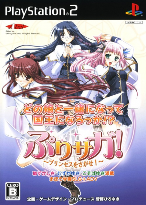 Puri-Saga! Princess o Sagase! box art