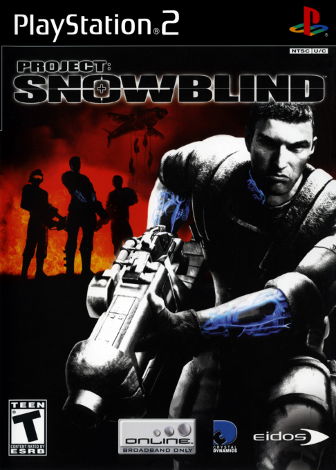 Project - Snowblind box art