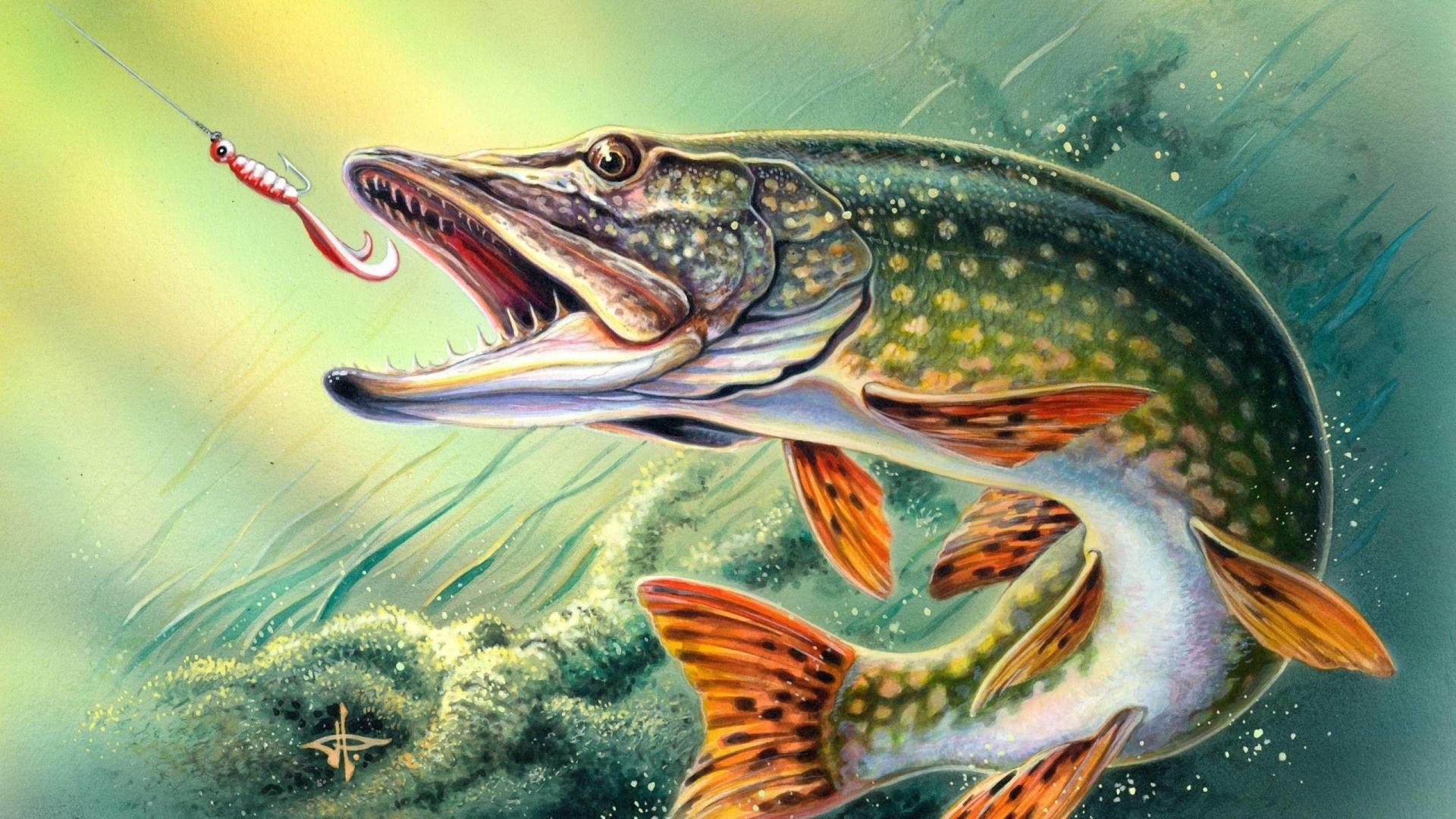 Rapala Pro Bass Fishing — fanart