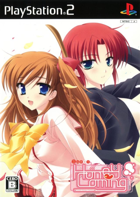 Sweet Honey Coming box art