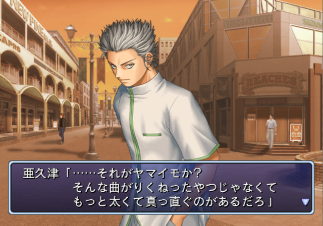 Tennis No Oujisama - Gakuensai No Oujisama — ss (JP)